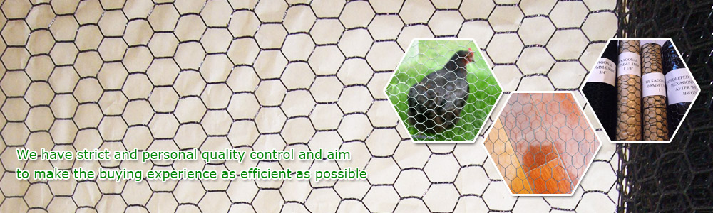 Welded Mesh Fence Panel Manufacturer