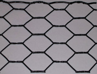 Hexagonal Wire Netting