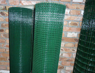 Welded Wire Mesh