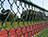 Chain Link Fence