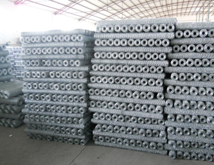 Galvanized Hexagonal Wire Netting