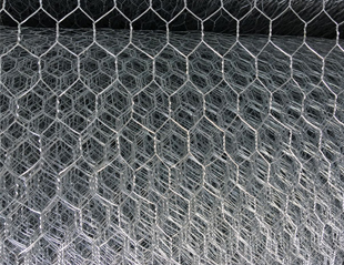 Galvanized Hexagonal Wire Netting