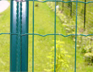 Holland Wire Fence