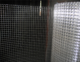 Welded Wire Mesh